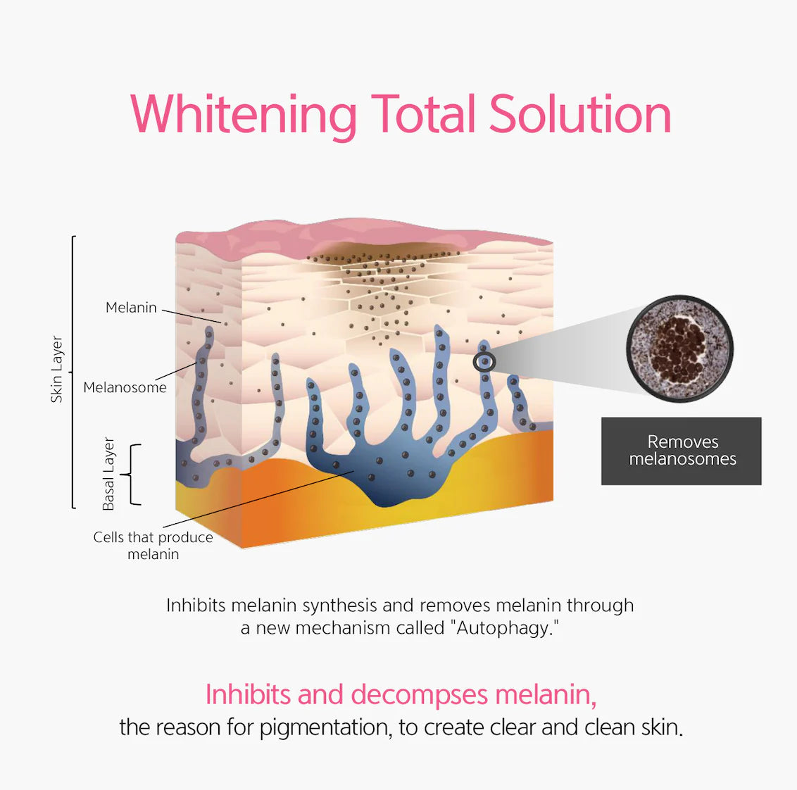 DR. ESTHE
Anti-Mela Toning Serum - Halo Glow 1.1oz